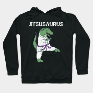 Funny Jujitsu T-Rex Jiu Jitsu Black Belt gifts Hoodie